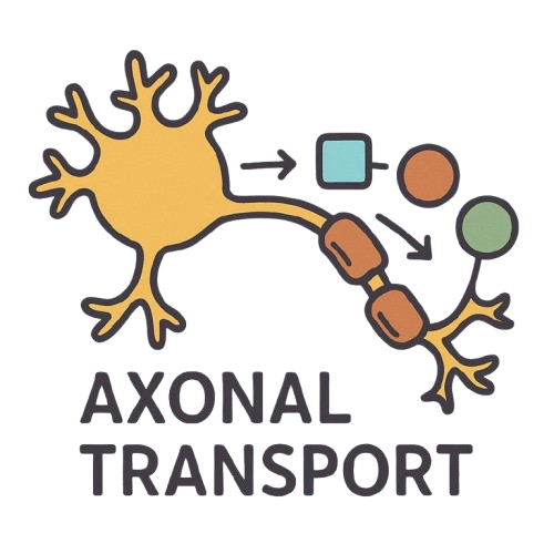 Axonal Transport